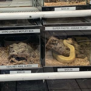 Meet your Posher, Christian